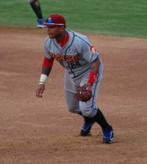 Rock Shoulders Boise Hawks